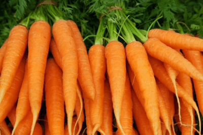 The Benefits of Carrots: The Orange Superfood