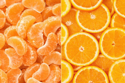 The Benefits of Oranges